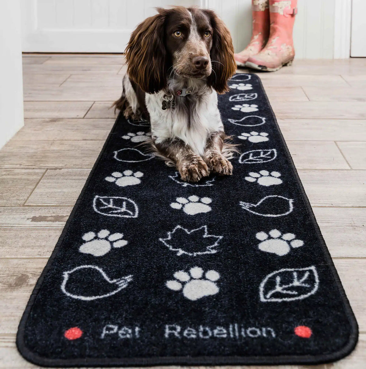 Pet Rebellion Country Walk Dog Runner Black
