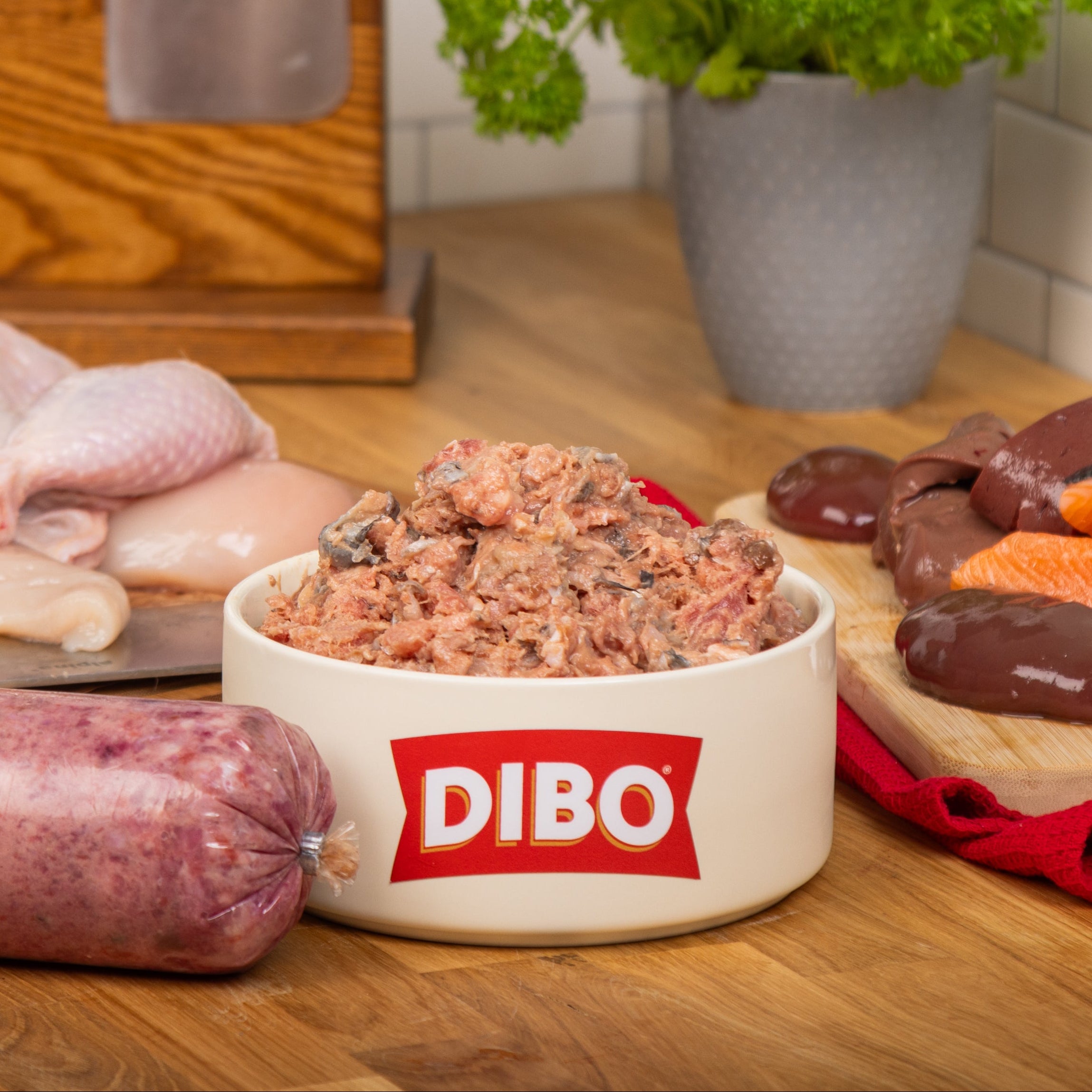 Bulmer Raw Dog Food Chicken & Salmon