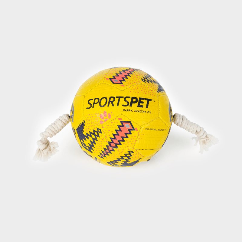 Sports Pet Football Size 3