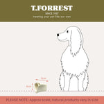 T. Forrest T Forrest Hollow Calcium Bone