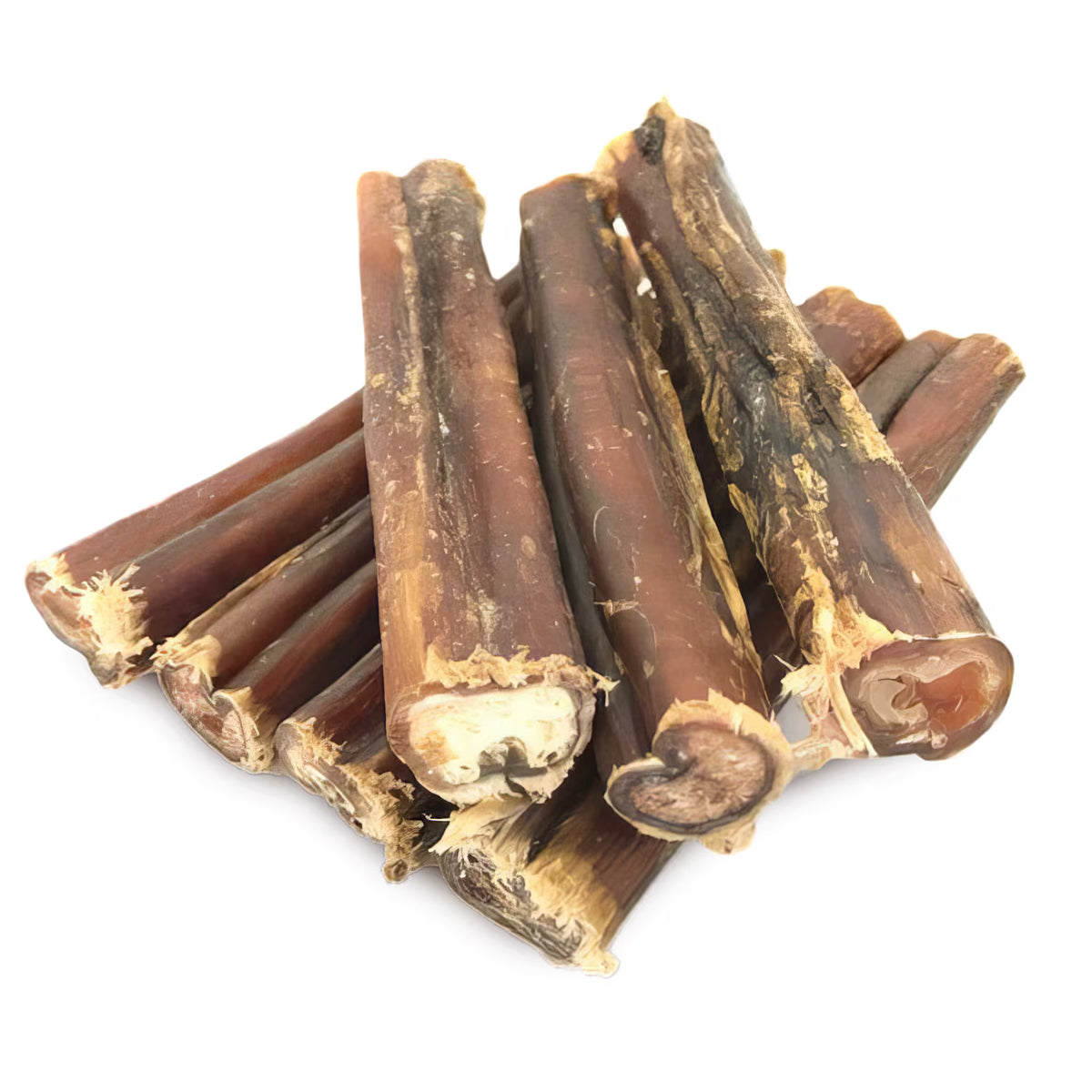 My Pet Treats Pizzle 12CM Thick