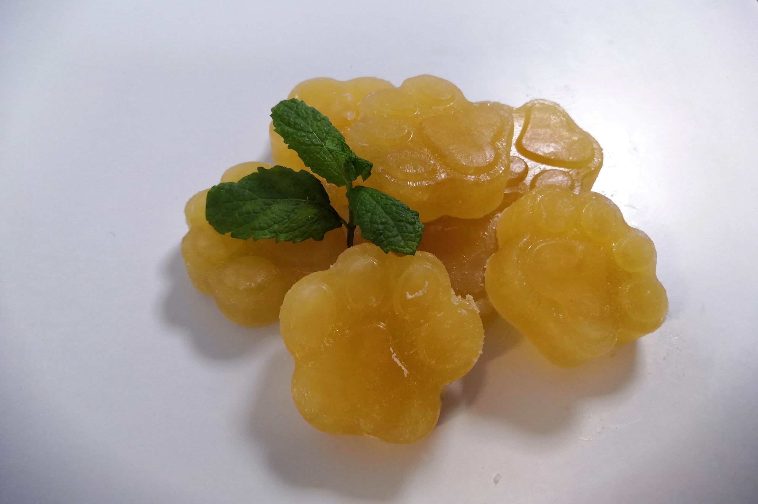 Alexander Naturals Venison Bone Broth Pawz